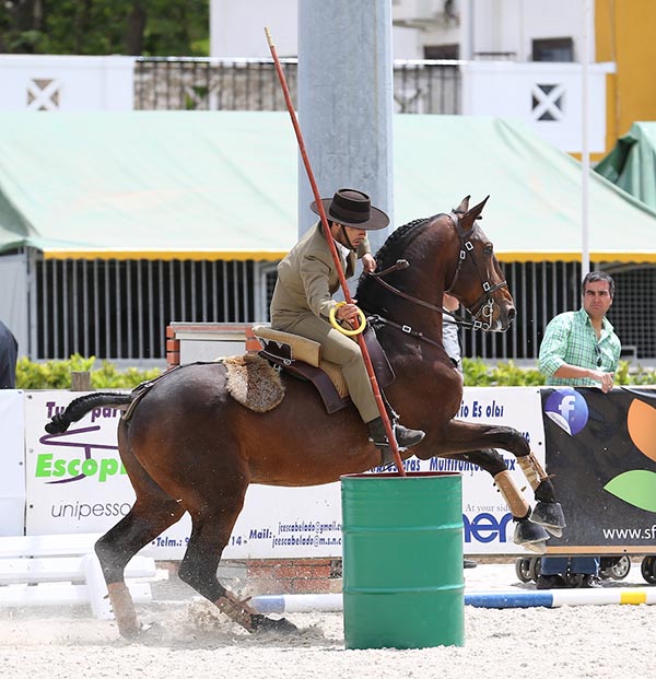 Now That Is An Exhibition, What A Great Performance - Working Equitation